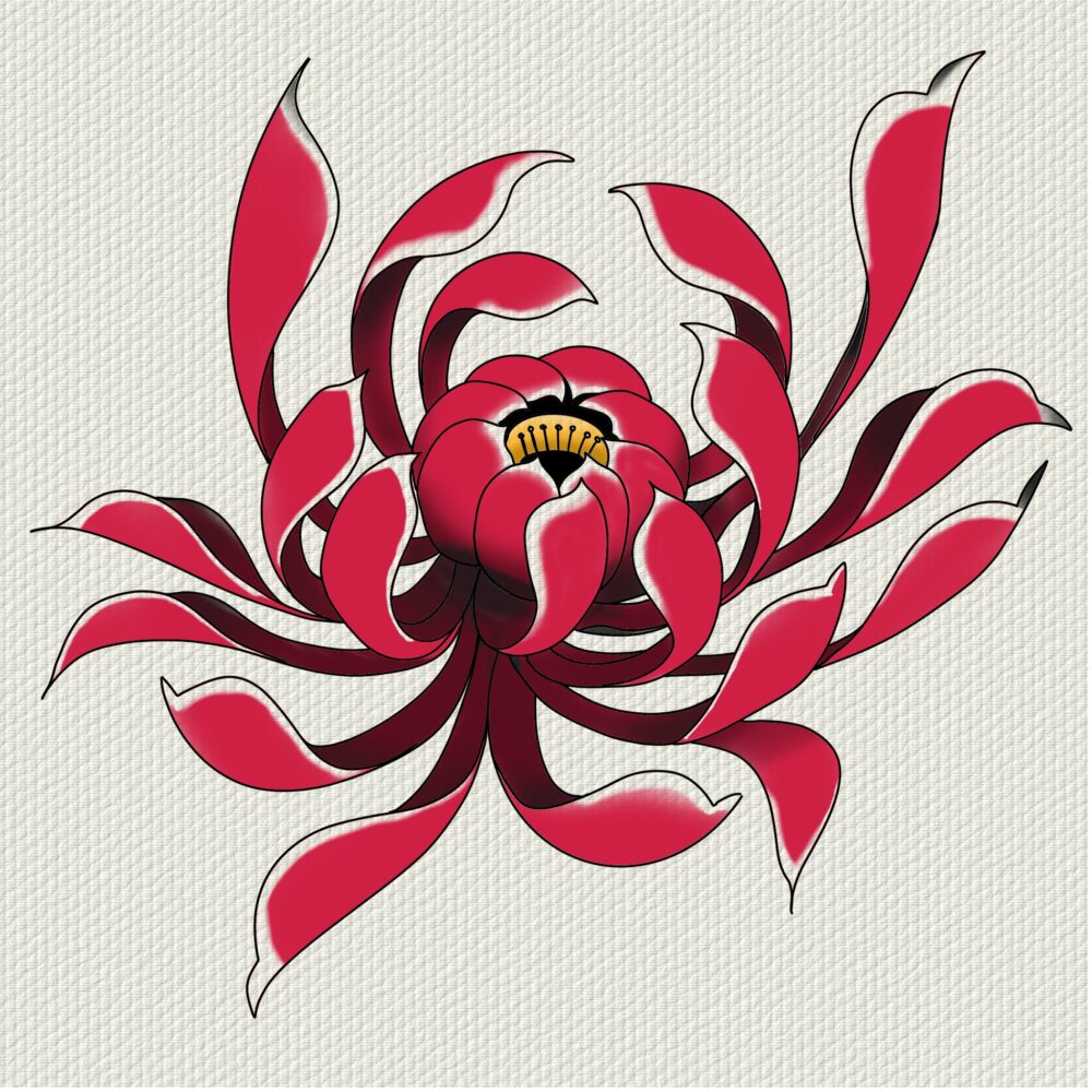 Original drawing of a chrysanthemum