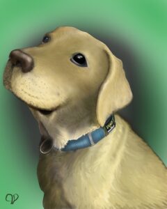 A devoted service dog captured in a sketch