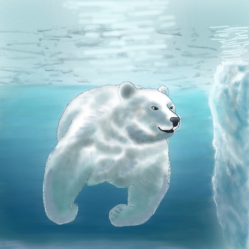 Arctic polar bear 